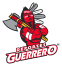 Deportes Guerrero